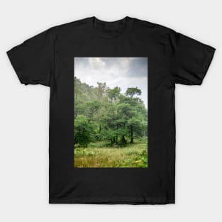 Harry Guards Woods T-Shirt